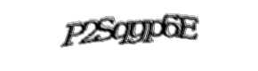 Security check image, please type the characters shown